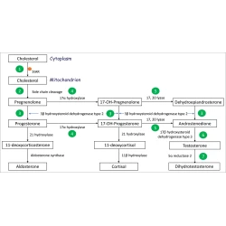 Article figure